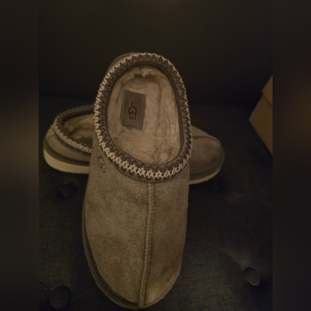 UGG Mens Shaggy Suede Tazz